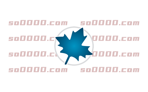 Maple 2024软件安装教程